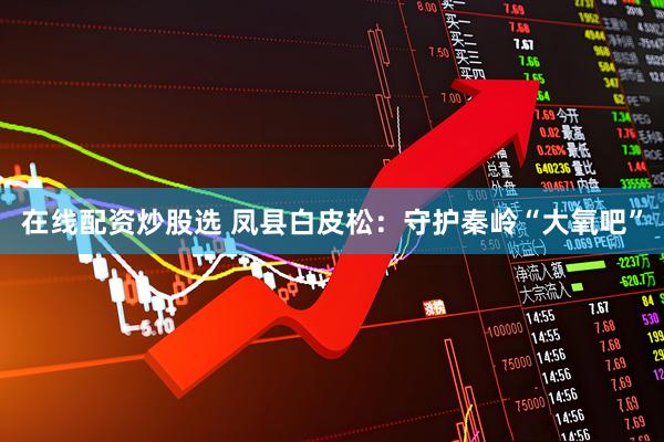 在线配资炒股选 凤县白皮松：守护秦岭“大氧吧”